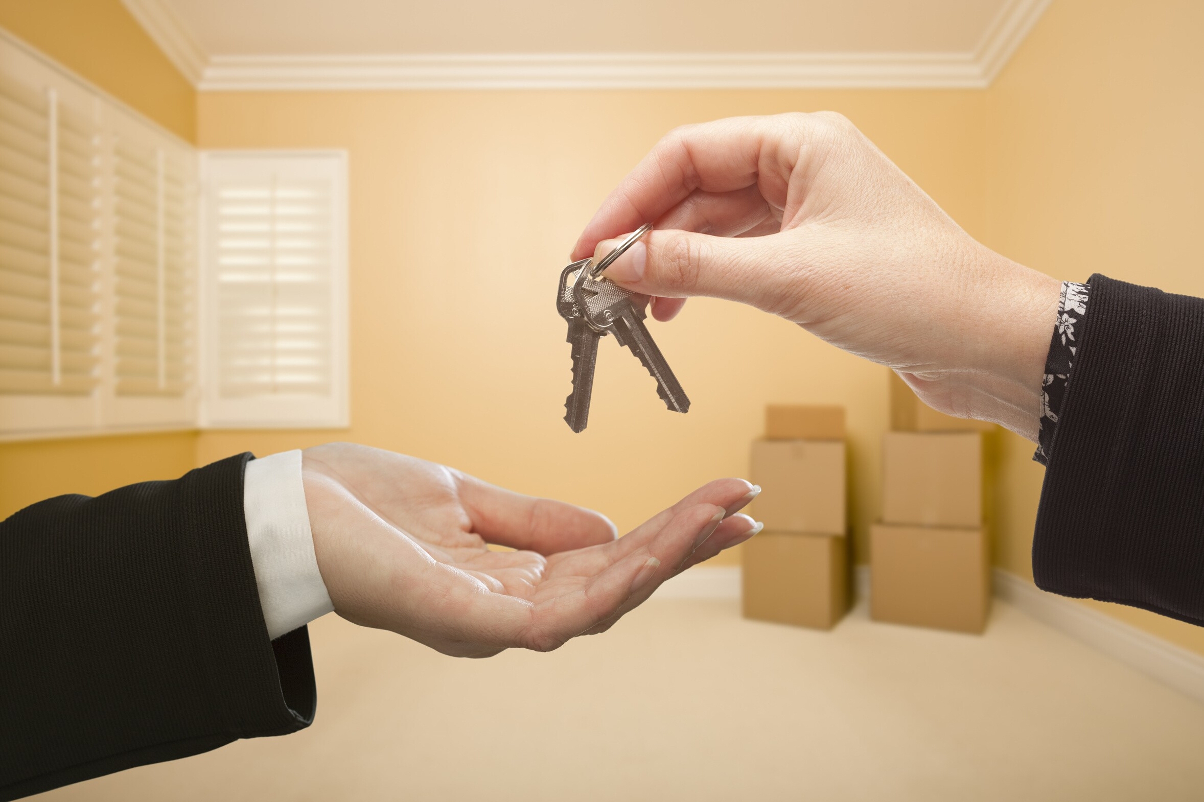 Процесс работы риэлторов при продаже недвижимости — основные этапы и стратегии